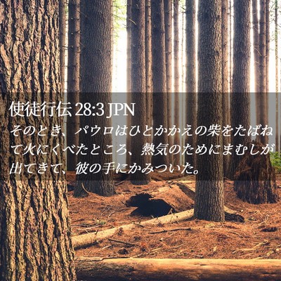 Picture 02 - 使徒行伝 28:3 JPN - そのとき、パウロはひとかかえの柴 - Bible Verse Picture