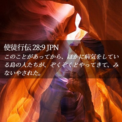 Picture 02 - 使徒行伝 28:9 JPN - このことがあってから、ほかに病気 - Bible Verse Picture