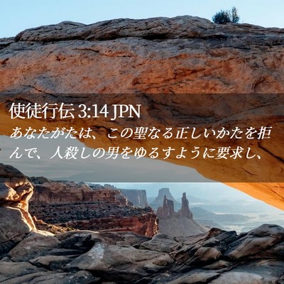 Picture 02 - 使徒行伝 3:14 JPN - あなたがたは、この聖なる正しいか - Bible Verse Picture