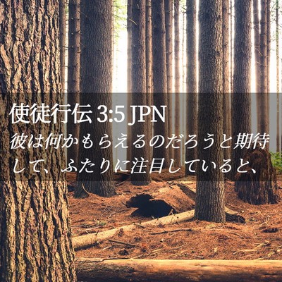 Picture 02 - 使徒行伝 3:5 JPN - 彼は何かもらえるのだろうと期待し - Bible Verse Picture