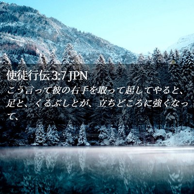 Picture 02 - 使徒行伝 3:7 JPN - こう言って彼の右手を取って起して - Bible Verse Picture