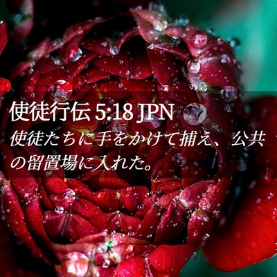 Picture 02 - 使徒行伝 5:18 JPN - 使徒たちに手をかけて捕え、公共の - Bible Verse Picture
