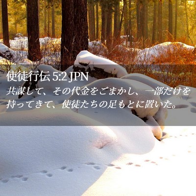 Picture 02 - 使徒行伝 5:2 JPN - 共謀して、その代金をごまかし、一 - Bible Verse Picture