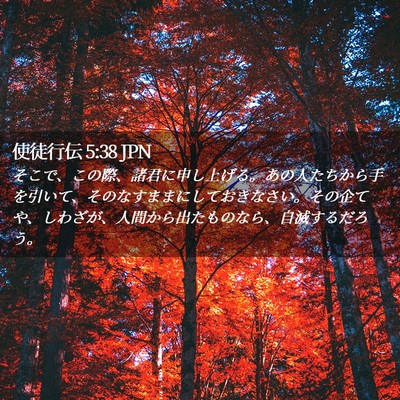 Picture 02 - 使徒行伝 5:38 JPN - そこで、この際、諸君に申し上げる - Bible Verse Picture