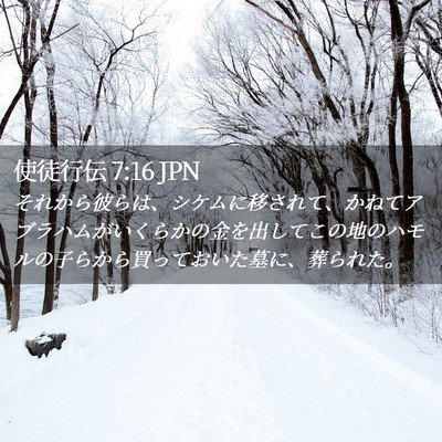Picture 02 - 使徒行伝 7:16 JPN - それから彼らは、シケムに移されて - Bible Verse Picture