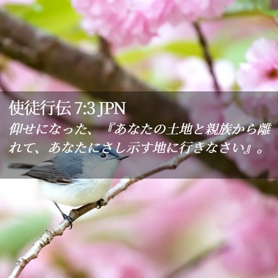 Picture 02 - 使徒行伝 7:3 JPN - 仰せになった、『あなたの土地と親 - Bible Verse Picture