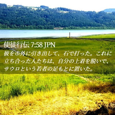 Picture 02 - 使徒行伝 7:58 JPN - 彼を市外に引き出して、石で打った - Bible Verse Picture