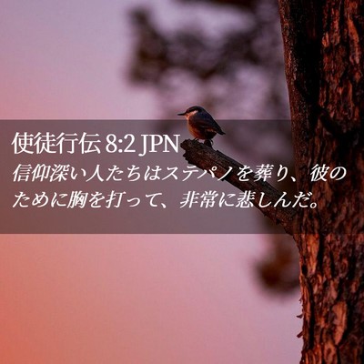 Picture 02 - 使徒行伝 8:2 JPN - 信仰深い人たちはステパノを葬り、 - Bible Verse Picture