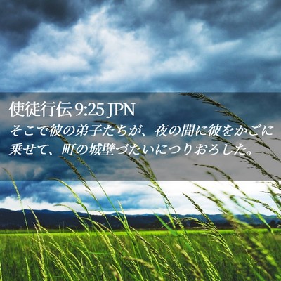 Picture 02 - 使徒行伝 9:25 JPN - そこで彼の弟子たちが、夜の間に彼 - Bible Verse Picture
