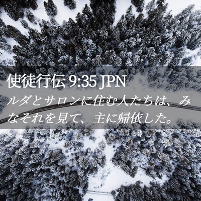 Picture 02 - 使徒行伝 9:35 JPN - ルダとサロンに住む人たちは、みな - Bible Verse Picture