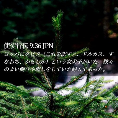 Picture 02 - 使徒行伝 9:36 JPN - ヨッパにタビタ（これを訳すと、ド - Bible Verse Picture
