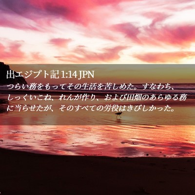 Picture 02 - 出エジプト記 1:14 JPN - つらい務をもってその生活を苦しめ - Bible Verse Picture