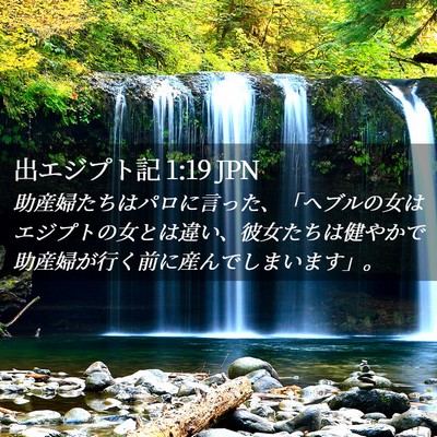 Picture 02 - 出エジプト記 1:19 JPN - 助産婦たちはパロに言った、「ヘブ - Bible Verse Picture