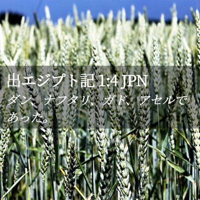 Picture 02 - 出エジプト記 1:4 JPN - ダン、ナフタリ、ガド、アセルであ - Bible Verse Picture