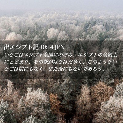 Picture 02 - 出エジプト記 10:14 JPN - いなごはエジプト全国にのぞみ、エ - Bible Verse Picture