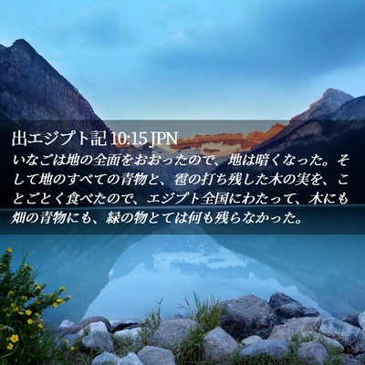 Picture 02 - 出エジプト記 10:15 JPN - いなごは地の全面をおおったので、 - Bible Verse Picture