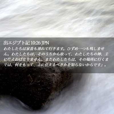 Picture 02 - 出エジプト記 10:26 JPN - わたしたちは家畜も連れて行きます - Bible Verse Picture