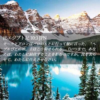 Picture 02 - 出エジプト記 10:3 JPN - モーセとアロンはパロのもとに行っ - Bible Verse Picture