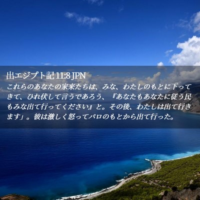 Picture 02 - 出エジプト記 11:8 JPN - これらのあなたの家来たちは、みな - Bible Verse Picture