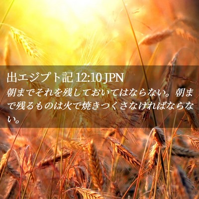 Picture 02 - 出エジプト記 12:10 JPN - 朝までそれを残しておいてはならな - Bible Verse Picture