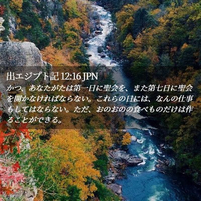 Picture 02 - 出エジプト記 12:16 JPN - かつ、あなたがたは第一日に聖会を - Bible Verse Picture