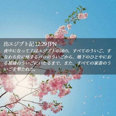 Picture 02 - 出エジプト記 12:29 JPN - 夜中になって主はエジプトの国の、 - Bible Verse Picture