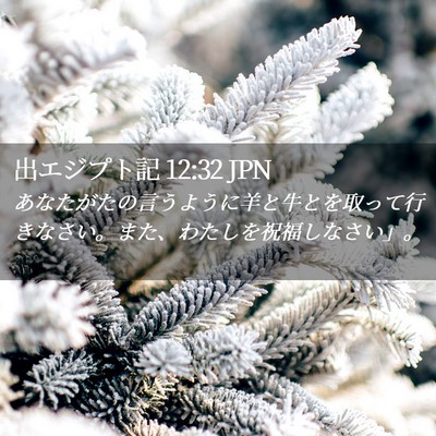 Picture 02 - 出エジプト記 12:32 JPN - あなたがたの言うように羊と牛とを - Bible Verse Picture