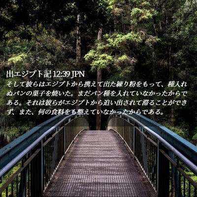 Picture 02 - 出エジプト記 12:39 JPN - そして彼らはエジプトから携えて出 - Bible Verse Picture