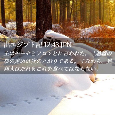 Picture 02 - 出エジプト記 12:43 JPN - 主はモーセとアロンとに言われた、 - Bible Verse Picture