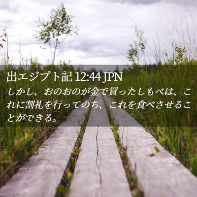 Picture 02 - 出エジプト記 12:44 JPN - しかし、おのおのが金で買ったしも - Bible Verse Picture