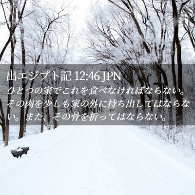 Picture 02 - 出エジプト記 12:46 JPN - ひとつの家でこれを食べなければな - Bible Verse Picture