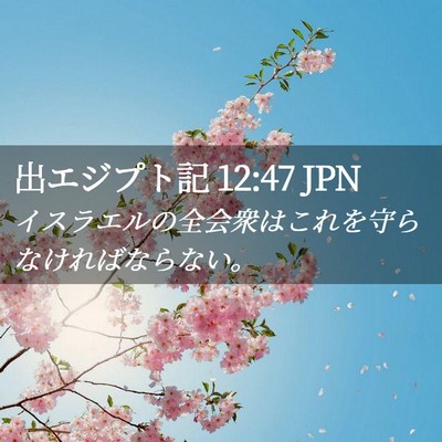 Picture 02 - 出エジプト記 12:47 JPN - イスラエルの全会衆はこれを守らな - Bible Verse Picture