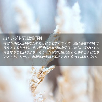 Picture 02 - 出エジプト記 12:48 JPN - 寄留の外国人があなたのもとにとど - Bible Verse Picture