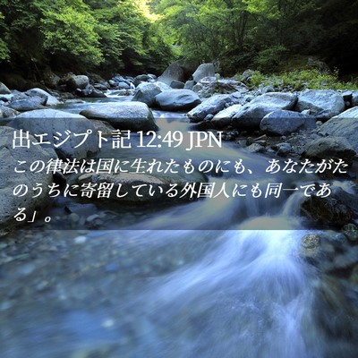 Picture 02 - 出エジプト記 12:49 JPN - この律法は国に生れたものにも、あ - Bible Verse Picture