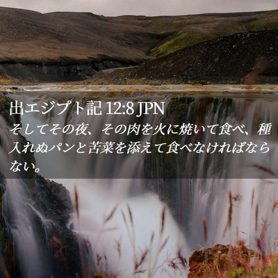 Picture 02 - 出エジプト記 12:8 JPN - そしてその夜、その肉を火に焼いて - Bible Verse Picture