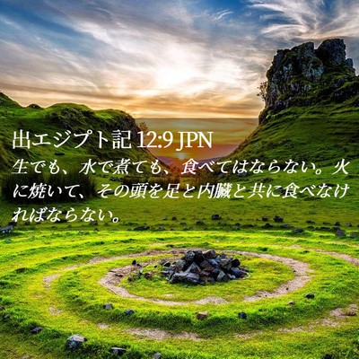 Picture 02 - 出エジプト記 12:9 JPN - 生でも、水で煮ても、食べてはなら - Bible Verse Picture