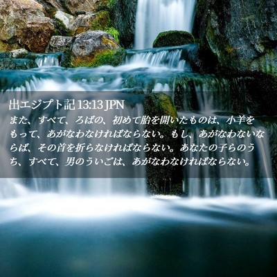 Picture 02 - 出エジプト記 13:13 JPN - また、すべて、ろばの、初めて胎を - Bible Verse Picture