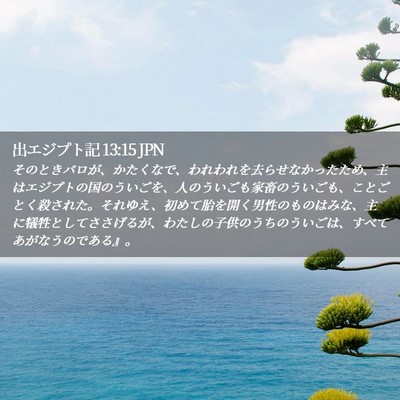 Picture 02 - 出エジプト記 13:15 JPN - そのときパロが、かたくなで、われ - Bible Verse Picture