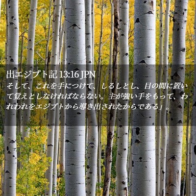 Picture 02 - 出エジプト記 13:16 JPN - そして、これを手につけて、しるし - Bible Verse Picture