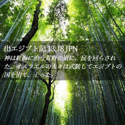 Picture 02 - 出エジプト記 13:18 JPN - 神は紅海に沿う荒野の道に、民を回 - Bible Verse Picture