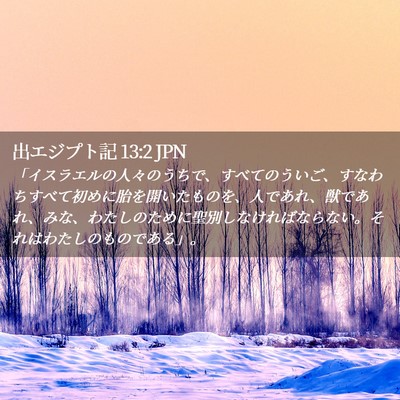 Picture 02 - 出エジプト記 13:2 JPN - 「イスラエルの人々のうちで、すべ - Bible Verse Picture