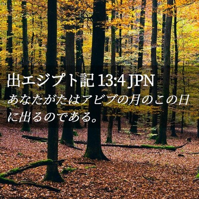Picture 02 - 出エジプト記 13:4 JPN - あなたがたはアビブの月のこの日に - Bible Verse Picture
