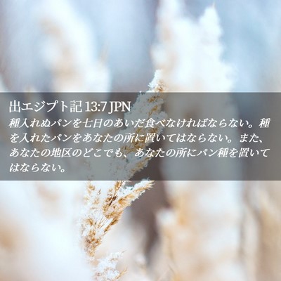 Picture 02 - 出エジプト記 13:7 JPN - 種入れぬパンを七日のあいだ食べな - Bible Verse Picture