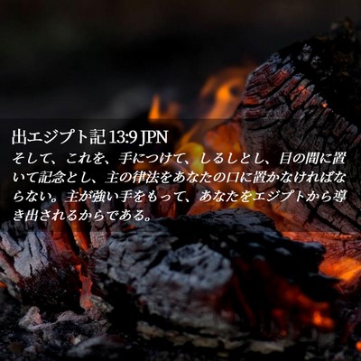 Picture 02 - 出エジプト記 13:9 JPN - そして、これを、手につけて、しる - Bible Verse Picture