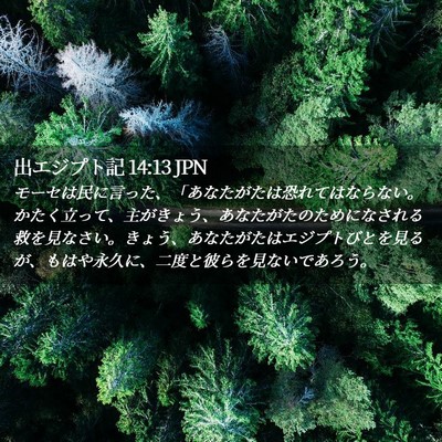 Picture 02 - 出エジプト記 14:13 JPN - モーセは民に言った、「あなたがた - Bible Verse Picture