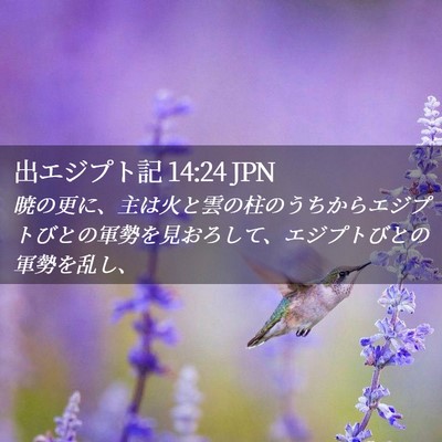Picture 02 - 出エジプト記 14:24 JPN - 暁の更に、主は火と雲の柱のうちか - Bible Verse Picture