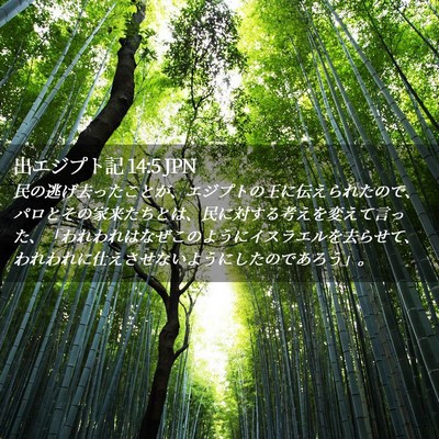 Picture 02 - 出エジプト記 14:5 JPN - 民の逃げ去ったことが、エジプトの - Bible Verse Picture