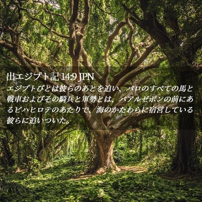 Picture 02 - 出エジプト記 14:9 JPN - エジプトびとは彼らのあとを追い、 - Bible Verse Picture
