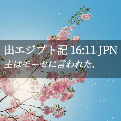 Picture 02 - 出エジプト記 16:11 JPN - 主はモーセに言われた、 - Bible Verse Picture