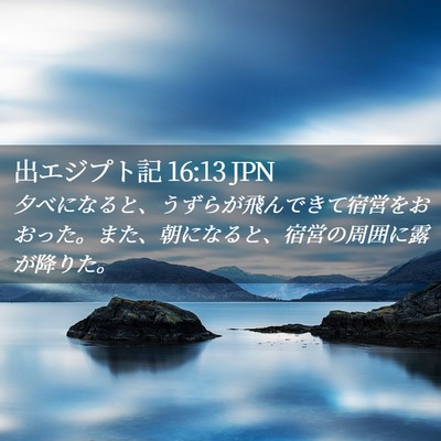 Picture 02 - 出エジプト記 16:13 JPN - 夕べになると、うずらが飛んできて - Bible Verse Picture